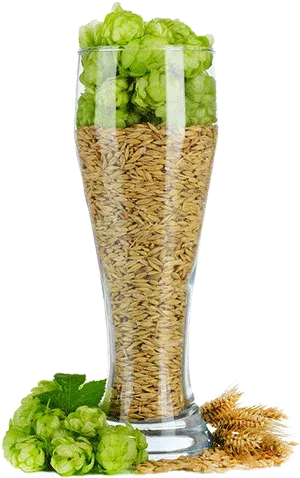 Beer glass with malt, hops and grain