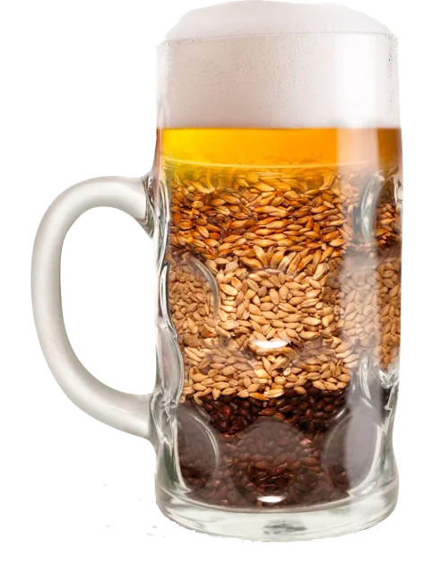 Beer mug with malt and beer